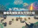 《珊瑚岛》Coral Island怎么捕捉昆虫？捕捉昆虫方法介绍