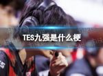 TES九强是什么梗 TES我们是九强什么意思