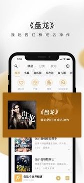 企鹅FM截图