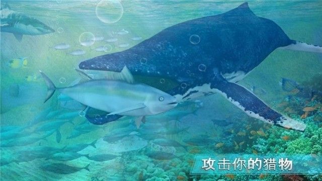 全民养鲨鱼红包版截图