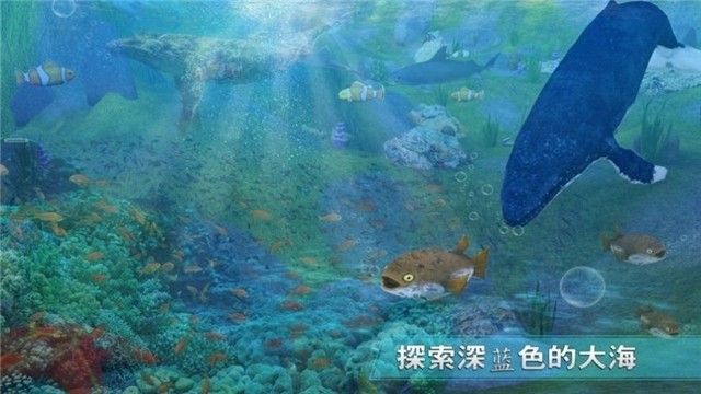 全民养鲨鱼红包版截图