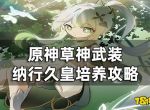 《原神》草神武装有哪些角色？草神武装纳行久皇培养攻略