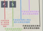 《原神》3.3版天云草实快速收集路线