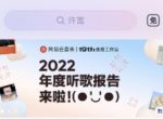 网易云音乐2022年度报告如何查看