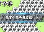 《羊了个羊》今日攻略1.14 1月14日通关攻略