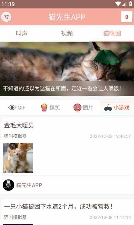 博猫管家养宠截图