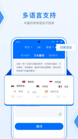 deepl翻译截图