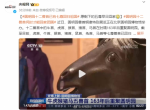 圆明园十二兽首已有七尊回归祖国！还有5尊流落在外