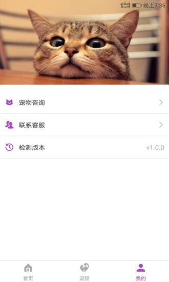 人猫翻译器截图