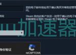 STEAM Captcha响应无效？别担心！几招化解STEAM Captcha响应无效问题！