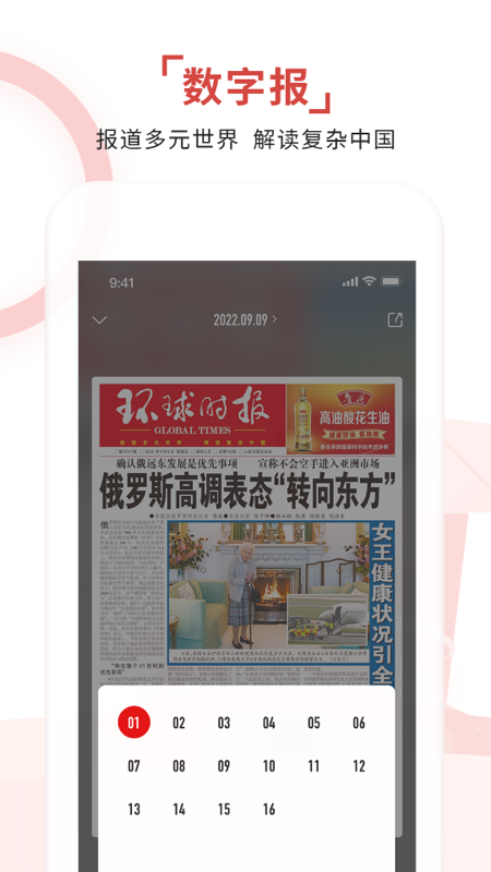 环球时报截图