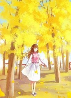 主角孟清禾小说免费阅读 孟清禾主角的小说